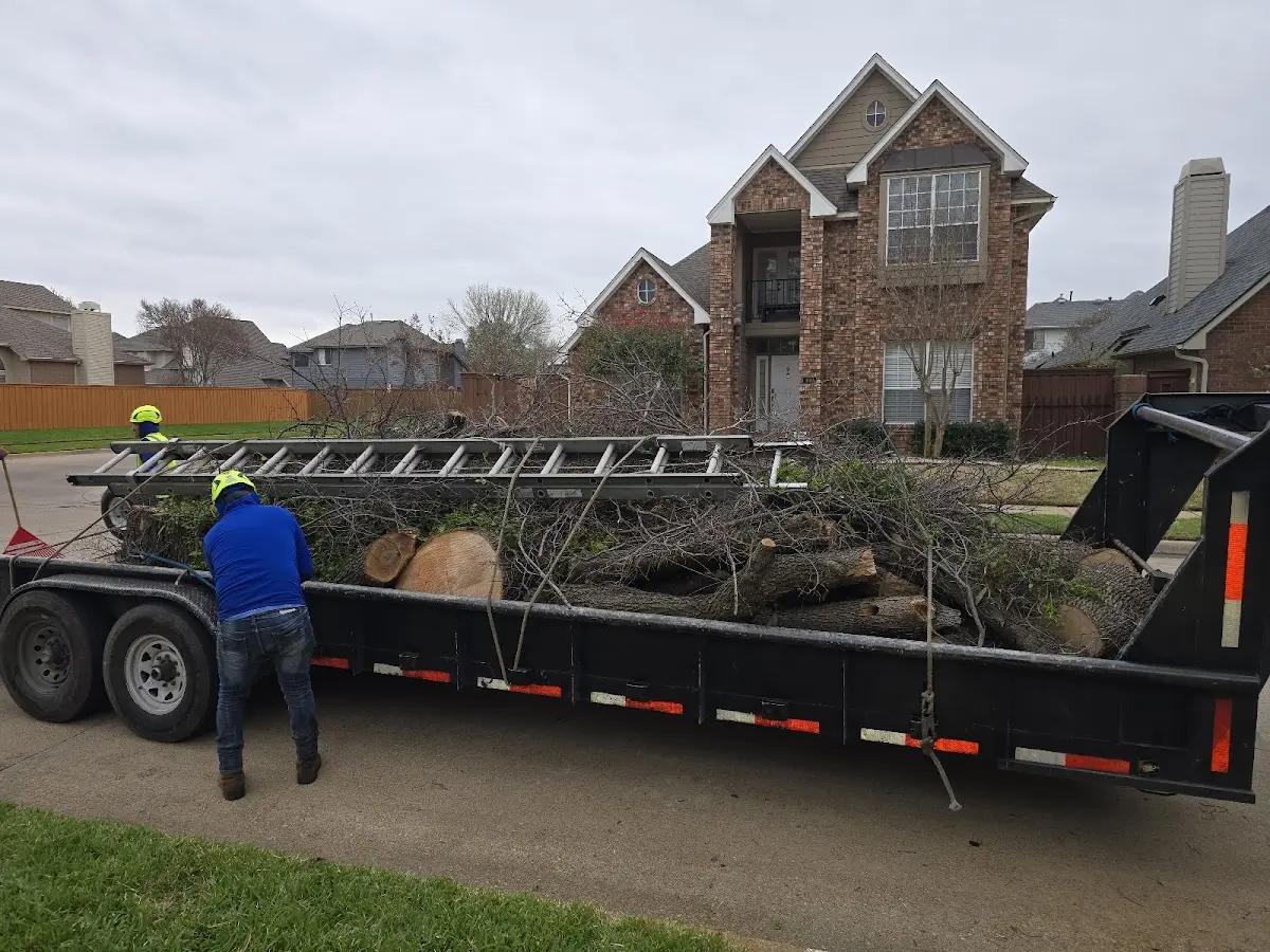 Expert Lot Clearing with proper safety equipment in Lockport